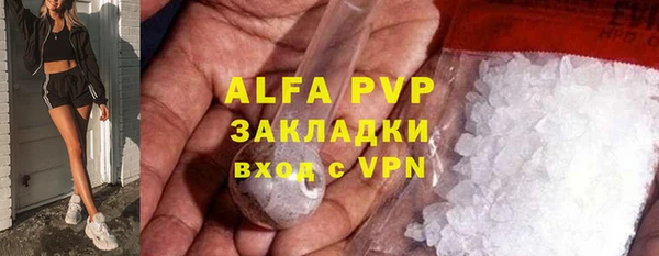 хмурый Алзамай