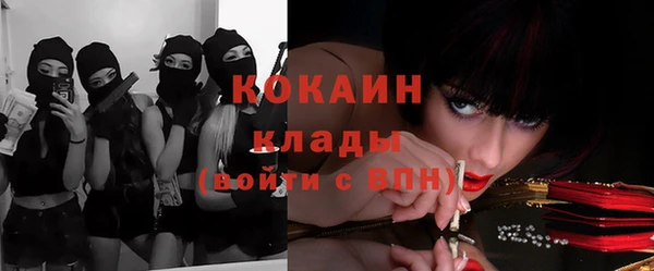 хмурый Алзамай
